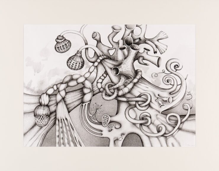 Schwarz-Weiß-Zeichnung skurriler Naturformen