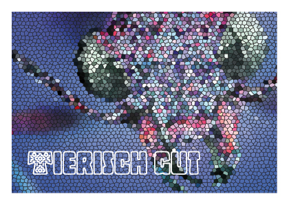 Kultur-macht-stark-Projekt mit Andrea Flemming und Mareen Alburg Duncker in Sangerhausen